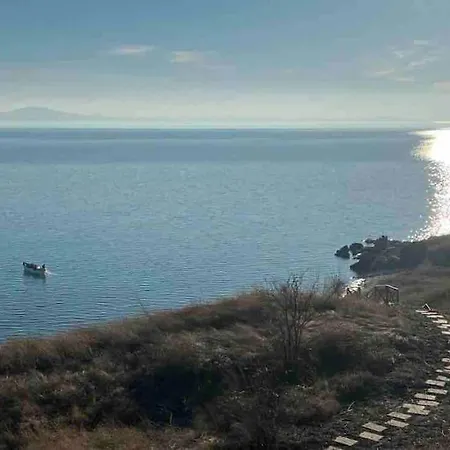 Our Dreamy By The Sea فيلة